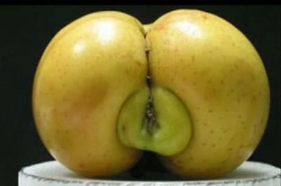 Naturaleza sexi