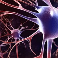 Neuronas