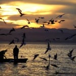 El pescador