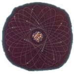 Neutrinos