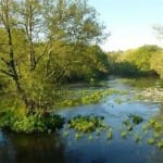 Río Miño en Rábade