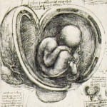 Animaculistas, ovistas y epigenistas