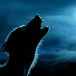 Hombre lobo