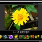 Kestrel GX, editor y organizador gratuito de fotos