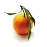 Clementine