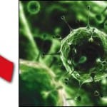 Identificadas proteínas humanas que avivan el VIH
