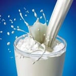 Mosca en la leche