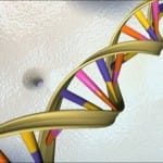 ¿Puede la circuncisión reducir el riesgo de cáncer de próstata?
