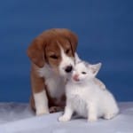 Dos grandes amigos