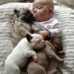 Sin preocupaciones