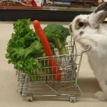El conejito va de compras
