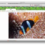Ribbet, editor de fotos en línea