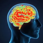 Los virus y los problemas de memoria