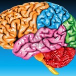 Imágenes cerebrales para medir el dolor