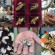 Comer insectos para saciar el hambre en el mundo Comer insectos para saciar el hambre en el mundo