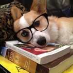 El perro lector