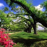 La depresión y la primavera