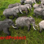 Detectar malware con herdProtect