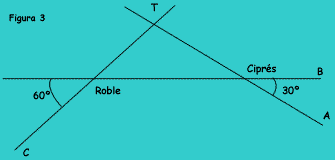 Figura 3