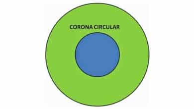 Pintar la corona circular