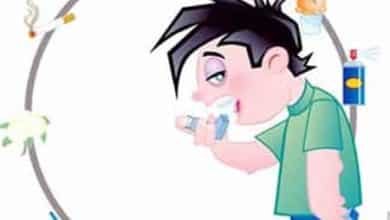 Virus y bacterias contra el asma