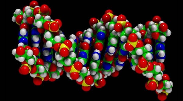 Sobre la molécula de ADN