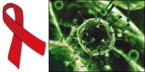 Identificadas proteínas humanas que avivan el VIH