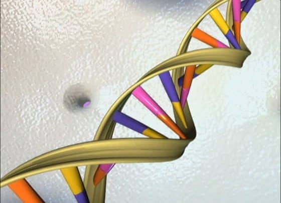 ¿Puede la circuncisión reducir el riesgo de cáncer de próstata?