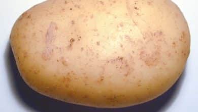Cómo pelar una patata en diez segundos