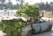 ¿Por qué se paró el coche?