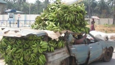 ¿Por qué se paró el coche?