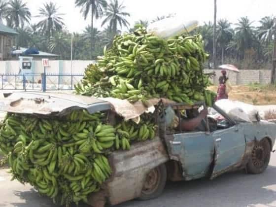 ¿Por qué se paró el coche?