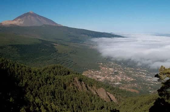 Visitando el Parque Nacional del Teide