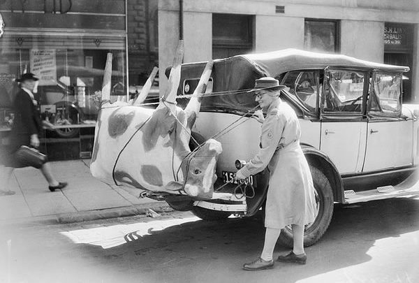 The Commons, contribuye con la descripción de las colecciones de fotos públicas del mundo