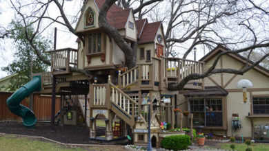 Una impresionante casa árbol