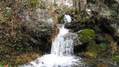 WebQuest - El agua y la vida