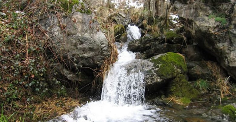 WebQuest - El agua y la vida