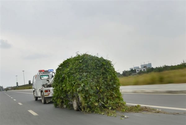 Transporte del coche zombie