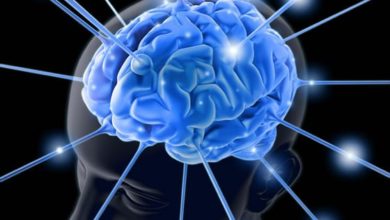 Una pequeña descarga eléctrica en el cerebro podría aumentar la memoria espacial