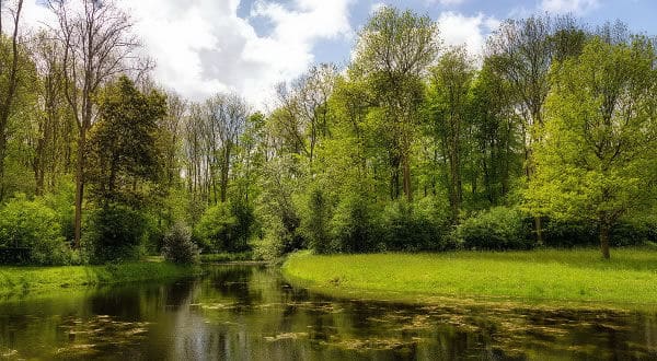 La Naturaleza y el bienestar