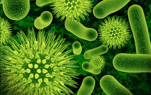 La promiscuidad de las bacterias