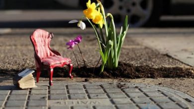 El hombre que utiliza los baches para hacer pequeños jardines