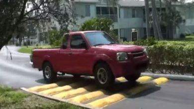 Estupidez humana en grado sumo