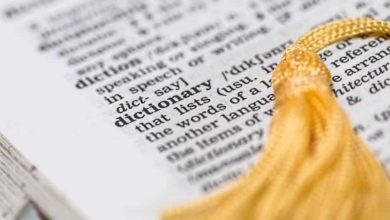 Dictionary .NET, un completo diccionario y traductor