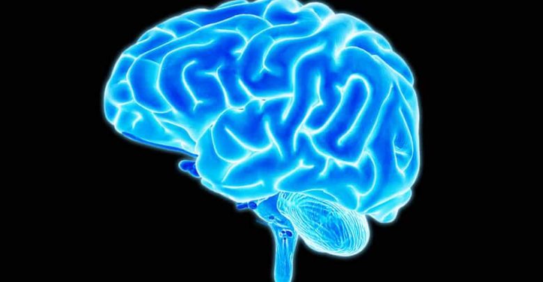 Comunicación directa entre el cerebro y la nube