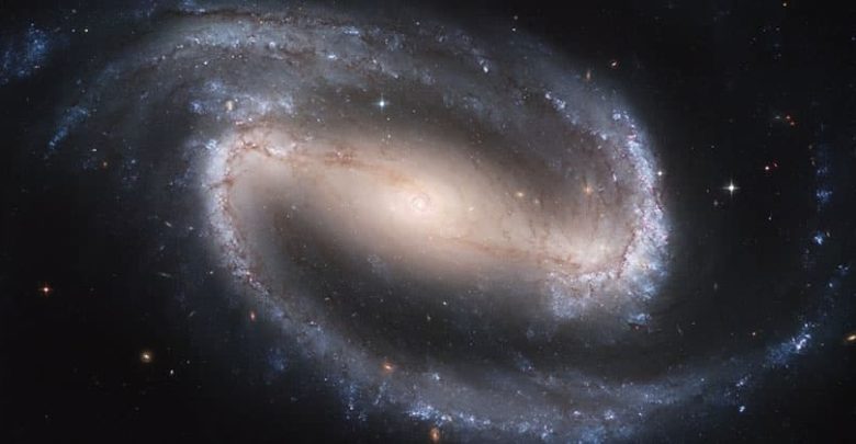 Las estrellas de neutrones y los agujeros negros