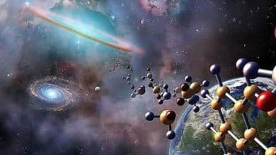 Sobre la Panspermia, en el origen de la vida