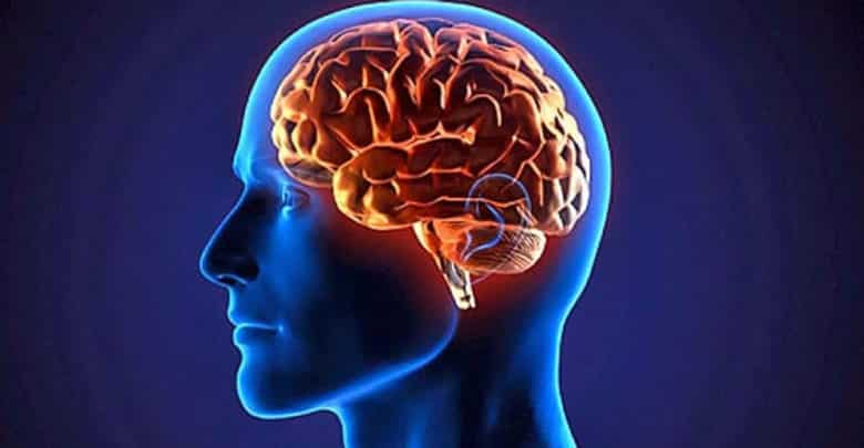 Llega la inmortalidad de la mano de la tecnología: descargar el cerebro en una computadora
