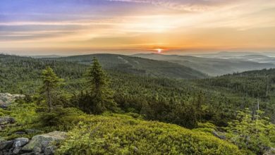 Como habitantes de la Tierra consumimos más recursos de los que nuestro planeta produce