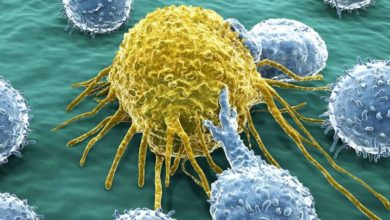 Nuevo medicamento que actúa contra el cáncer sin afectar a las células sanas